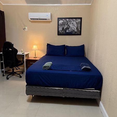 Tutul House Daire Tampa Dış mekan fotoğraf