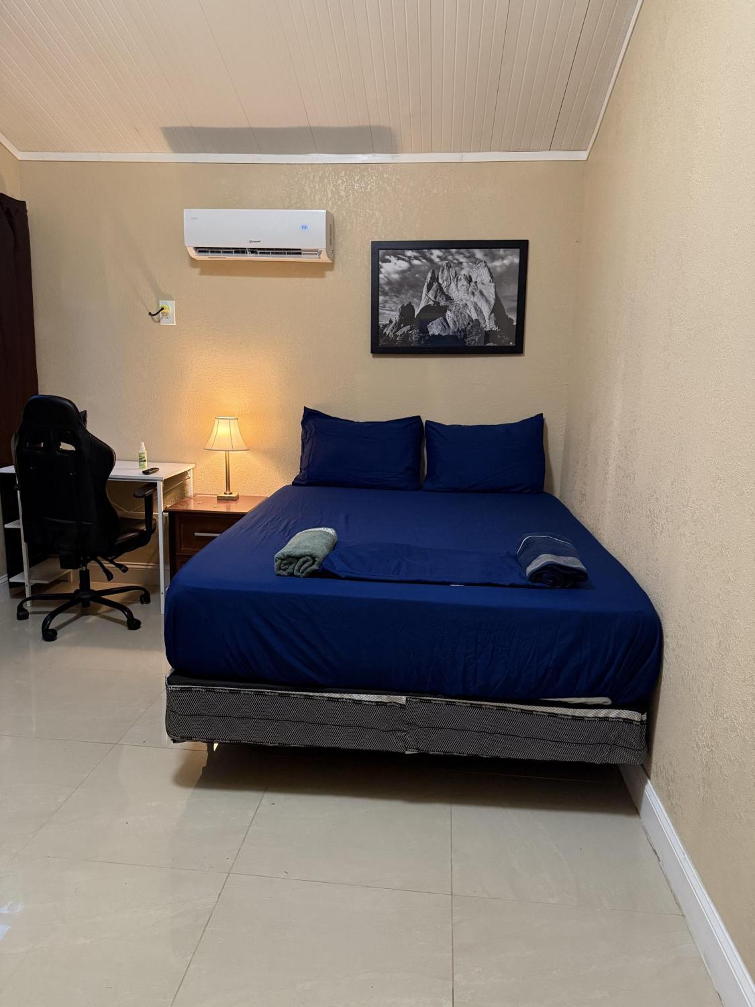 Tutul House Daire Tampa Dış mekan fotoğraf